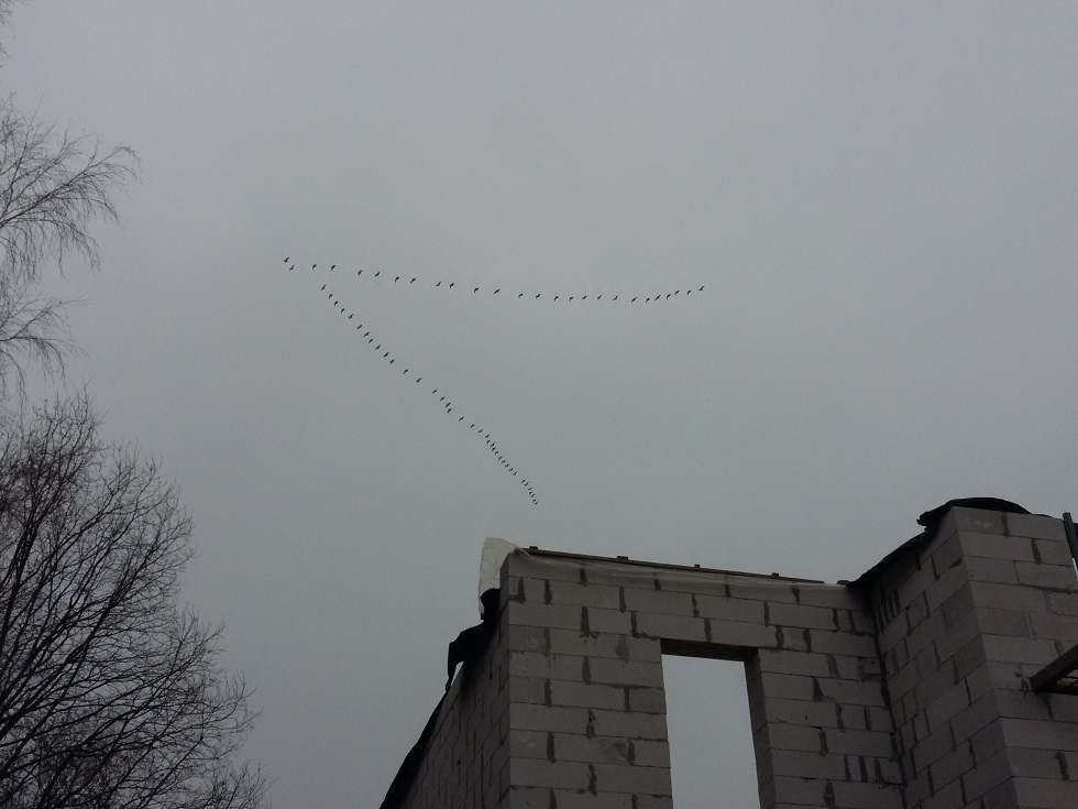 attachment.php?attachmentid=557849&stc=1&d=1490602269