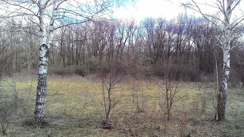 attachment.php?attachmentid=557941&stc=1&d=1490626387