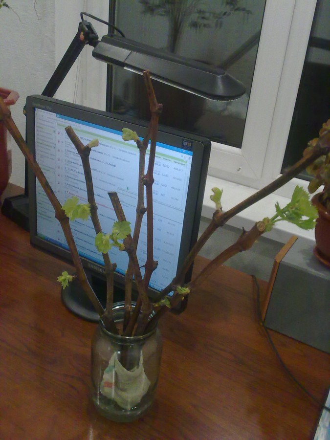 attachment.php?attachmentid=558204&stc=1&d=1490721447