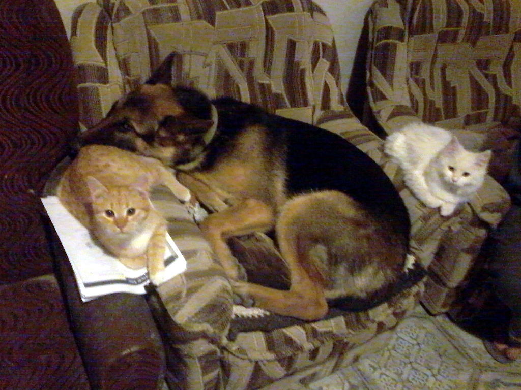 attachment.php?attachmentid=560887&stc=1&d=1491904088