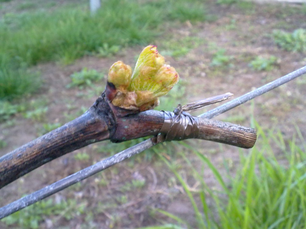 attachment.php?attachmentid=560990&stc=1&d=1491930151