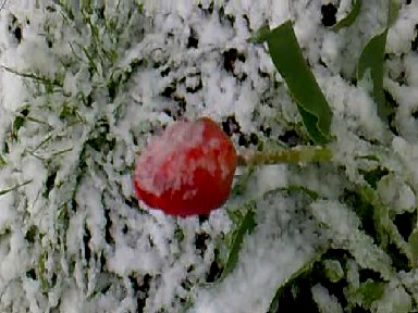 attachment.php?attachmentid=562055&stc=1&d=1492526795