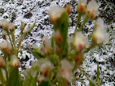 attachment.php?attachmentid=562056&stc=1&d=1492527357