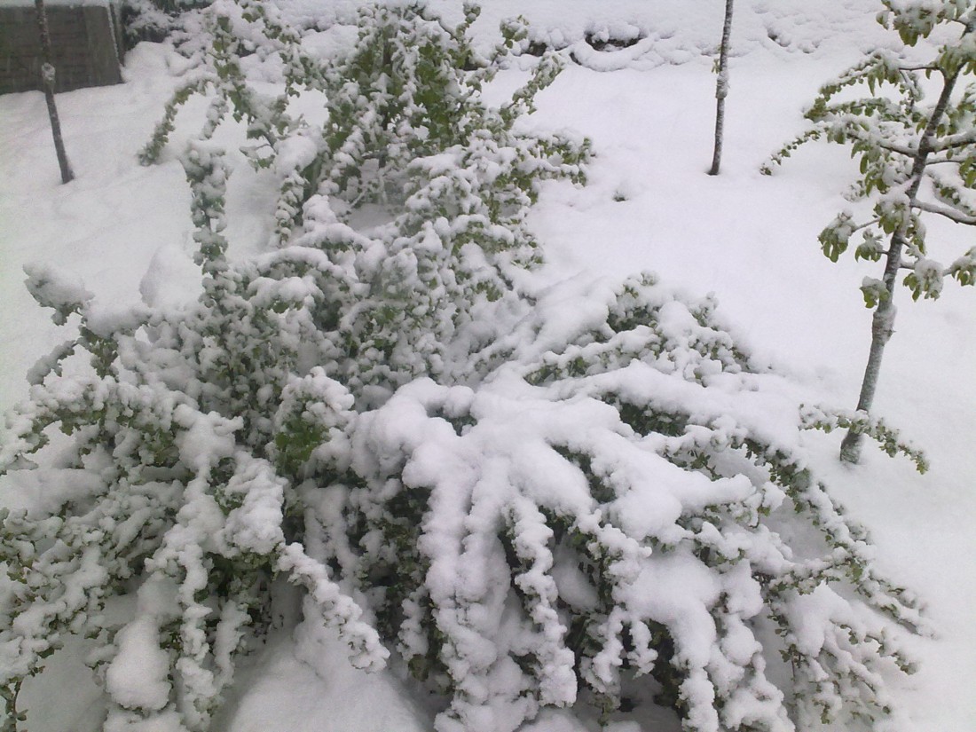 attachment.php?attachmentid=562132&stc=1&d=1492575576