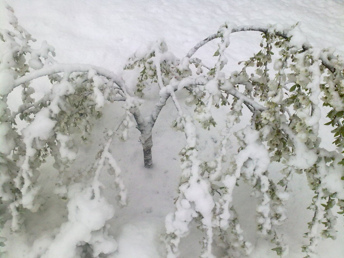 attachment.php?attachmentid=562133&stc=1&d=1492575628