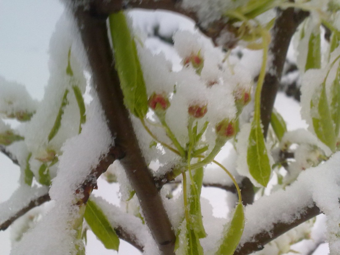 attachment.php?attachmentid=562135&d=1492575692