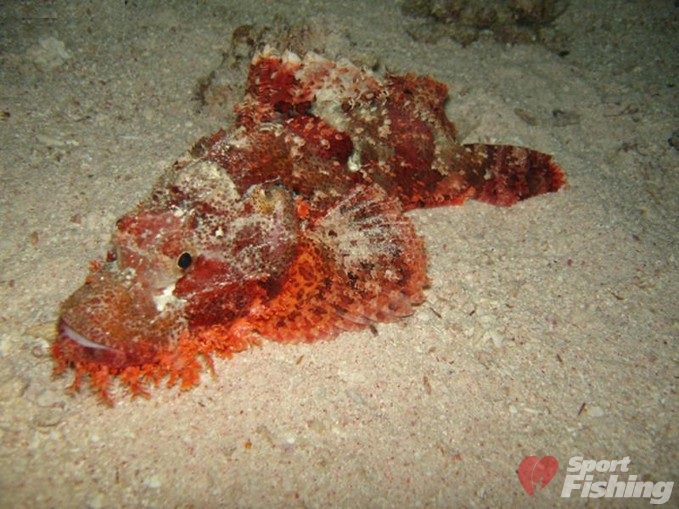 attachment.php?attachmentid=562855&stc=1&d=1492958184