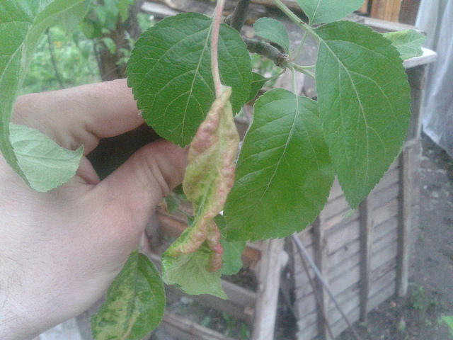 attachment.php?attachmentid=565419&stc=1&d=1494702940