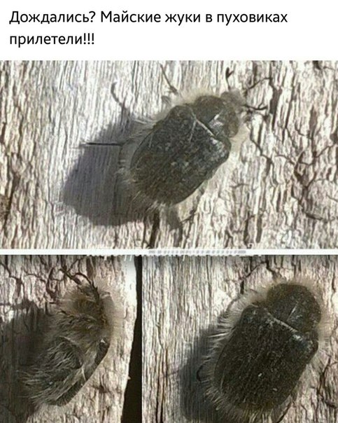 attachment.php?attachmentid=565514&stc=1&d=1494777024