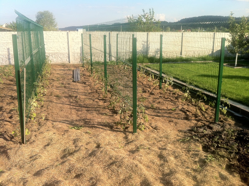 attachment.php?attachmentid=565554&stc=1&d=1494831704