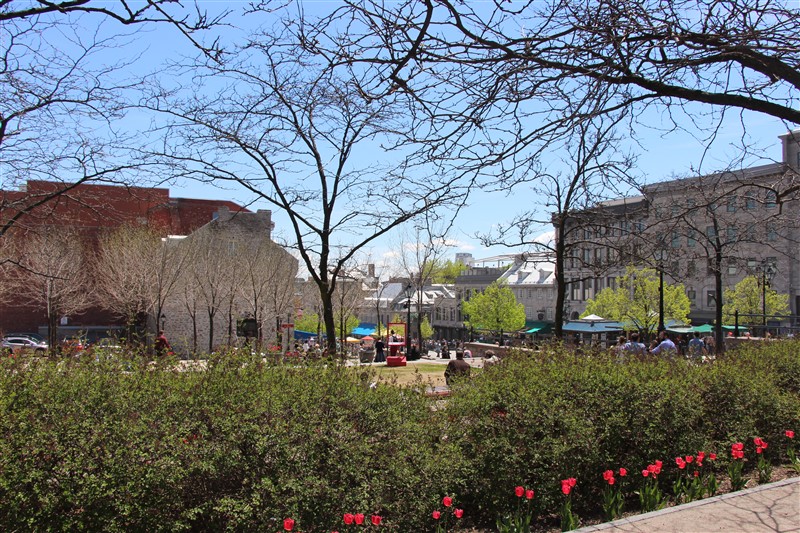 attachment.php?attachmentid=565929&stc=1&d=1494956463