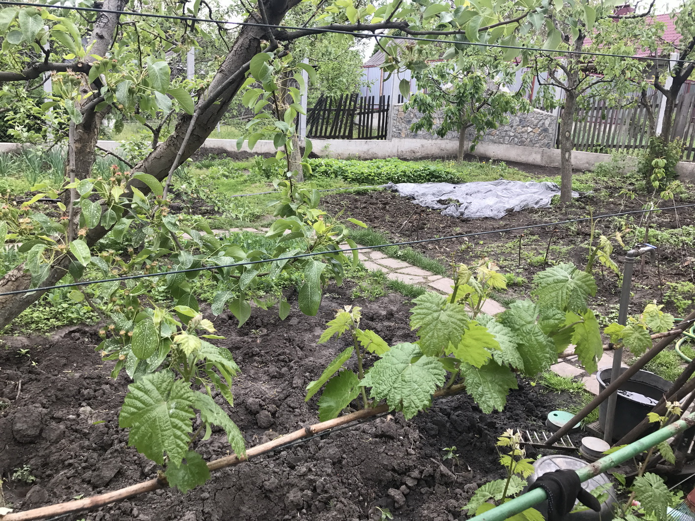 attachment.php?attachmentid=566143&d=1495056608