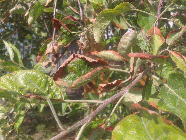 attachment.php?attachmentid=566659&stc=1&d=1495396643