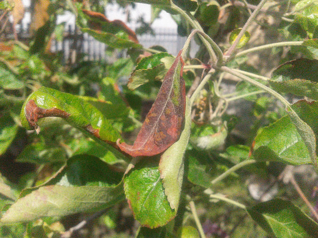 attachment.php?attachmentid=566660&stc=1&d=1495396651