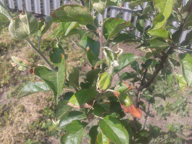 attachment.php?attachmentid=566661&stc=1&d=1495396713