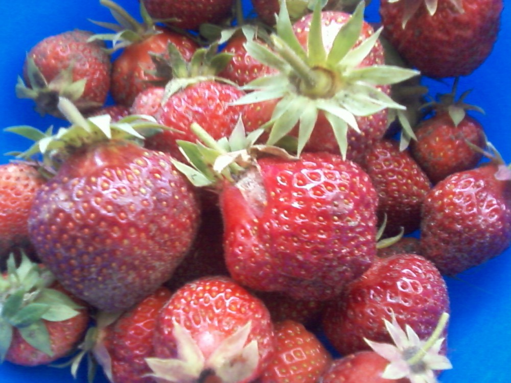 attachment.php?attachmentid=567724&stc=1&d=1495956188