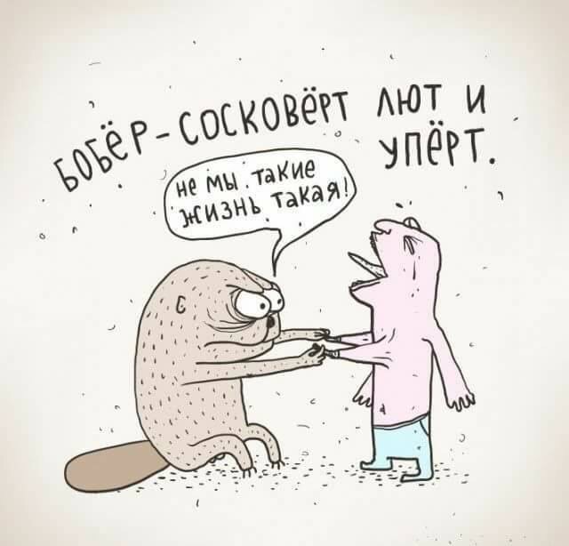 attachment.php?attachmentid=568021&stc=1&d=1496121369