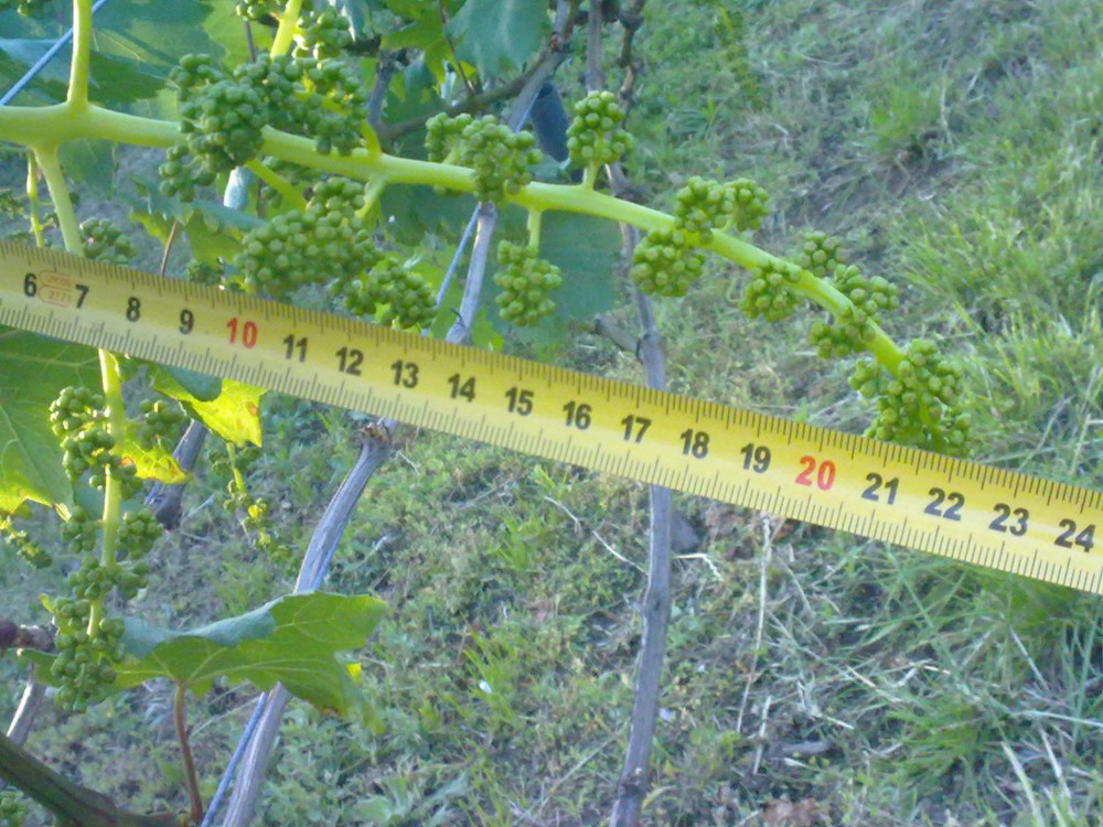 attachment.php?attachmentid=568487&stc=1&d=1496343716