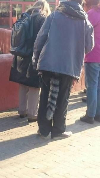 attachment.php?attachmentid=569054&stc=1&d=1496692090