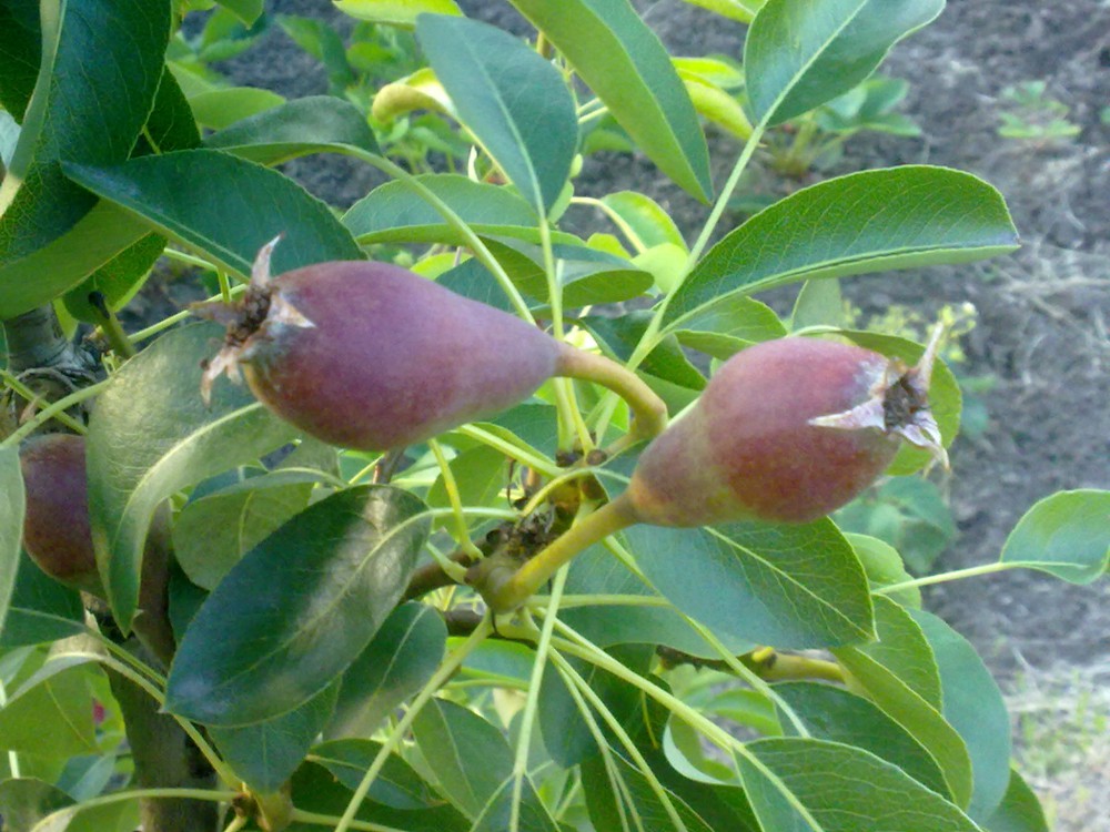 attachment.php?attachmentid=569440&stc=1&d=1496851636