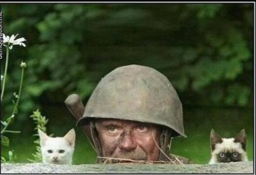 attachment.php?attachmentid=569858&stc=1&d=1497121436