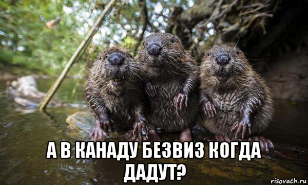 attachment.php?attachmentid=569975&stc=1&d=1497192924