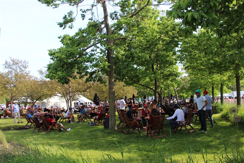 attachment.php?attachmentid=570047&stc=1&d=1497237493