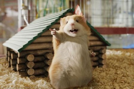 attachment.php?attachmentid=570331&stc=1&d=1497339314