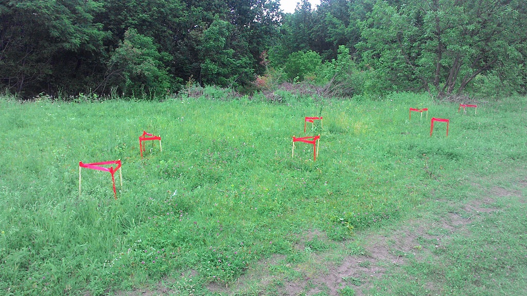 attachment.php?attachmentid=571373&stc=1&d=1497869876