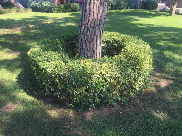 attachment.php?attachmentid=572426&stc=1&d=1498396588