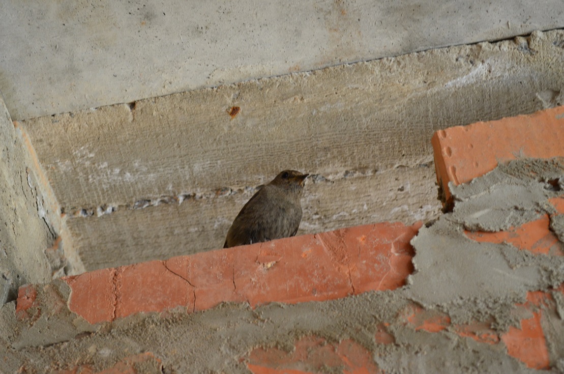 attachment.php?attachmentid=573048&stc=1&d=1498760427