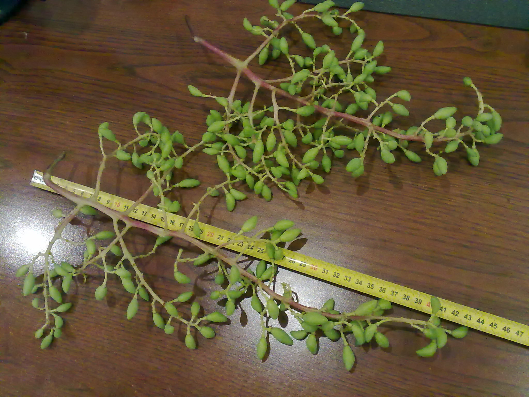 attachment.php?attachmentid=573550&stc=1&d=1499108653