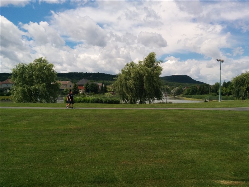 attachment.php?attachmentid=574261&stc=1&d=1499570488