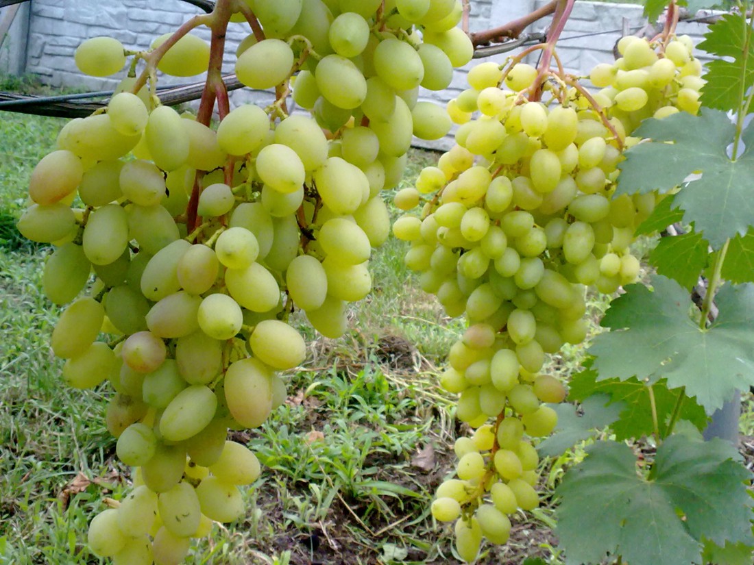 attachment.php?attachmentid=577684&stc=1&d=1501425879