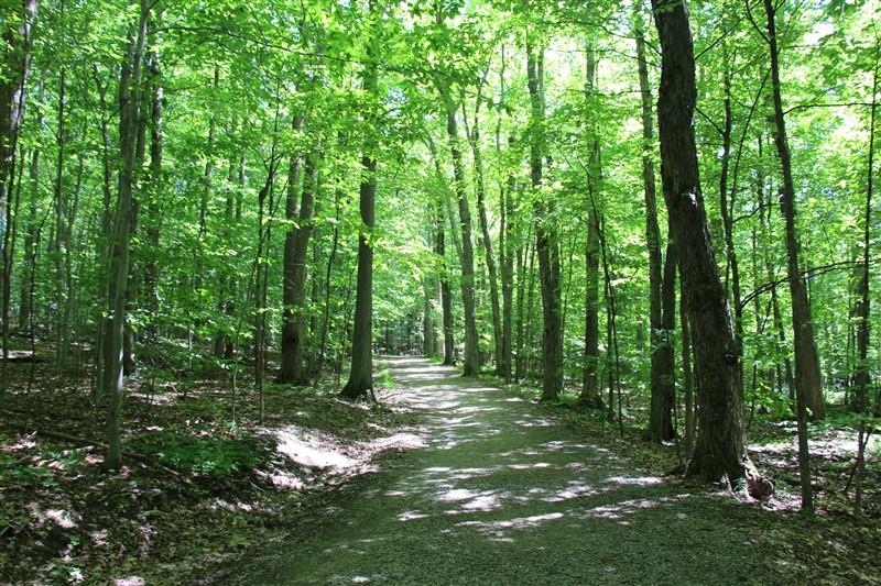 attachment.php?attachmentid=577804&stc=1&d=1501520177