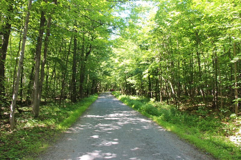 attachment.php?attachmentid=577805&stc=1&d=1501520181