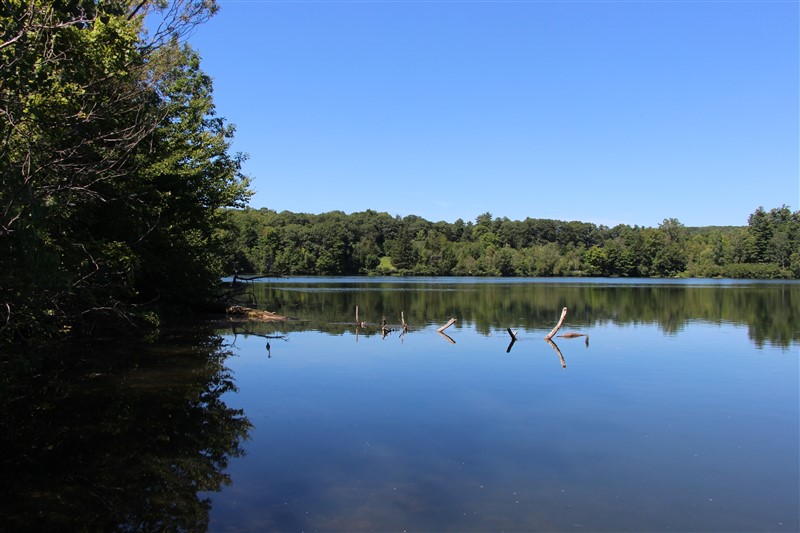 attachment.php?attachmentid=577806&stc=1&d=1501520184