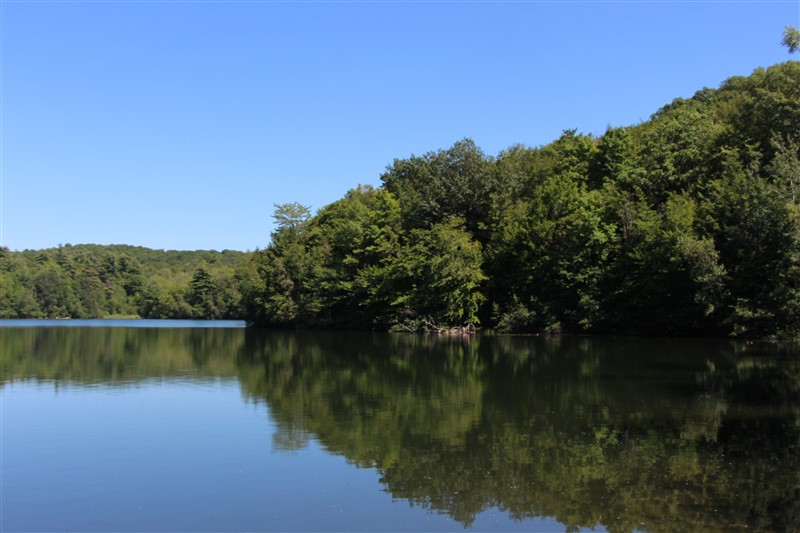 attachment.php?attachmentid=577807&stc=1&d=1501520188