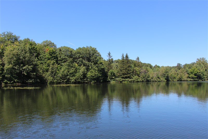 attachment.php?attachmentid=577810&stc=1&d=1501520198