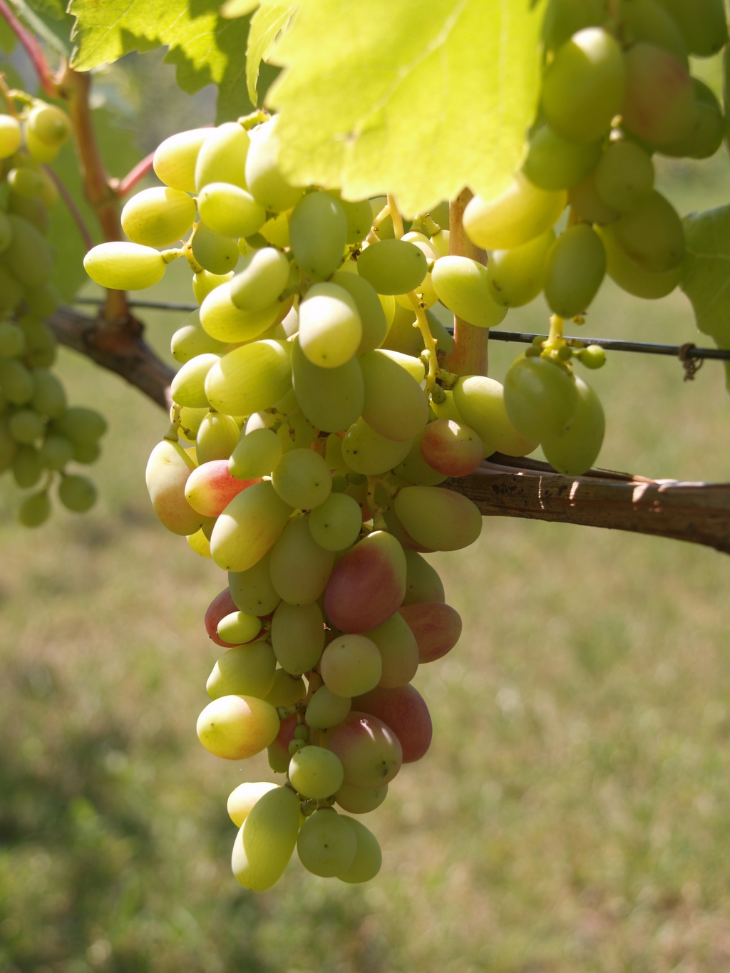 attachment.php?attachmentid=578114&stc=1&d=1501667045