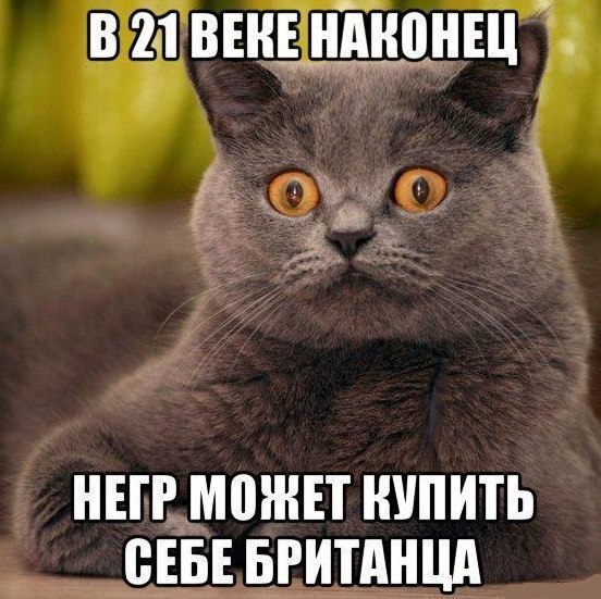 attachment.php?attachmentid=578332&stc=1&d=1501829732