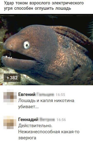 attachment.php?attachmentid=578543&stc=1&d=1502042089