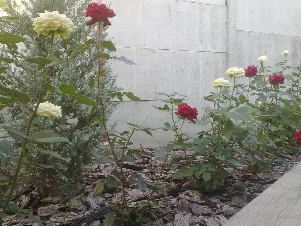 attachment.php?attachmentid=578993&stc=1&d=1502338881