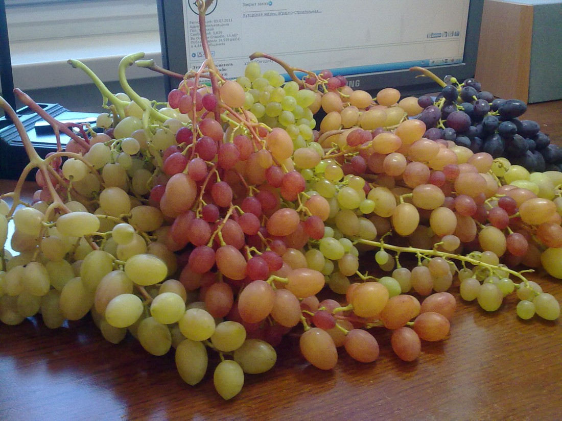 attachment.php?attachmentid=579073&stc=1&d=1502388701