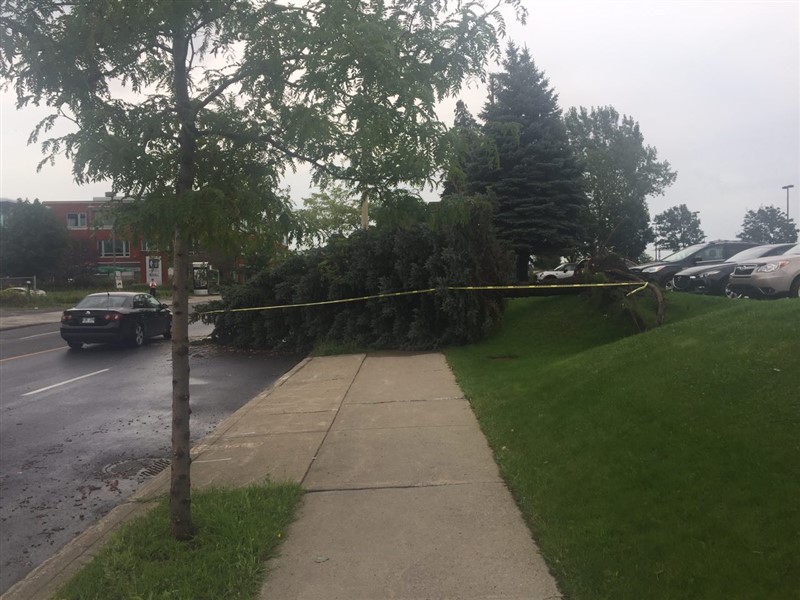 attachment.php?attachmentid=580576&stc=1&d=1503499275