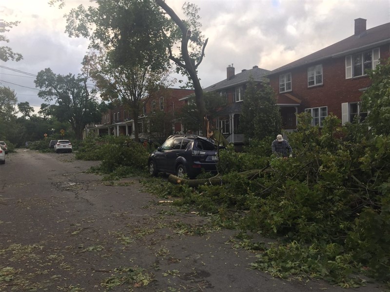 attachment.php?attachmentid=580577&stc=1&d=1503499279