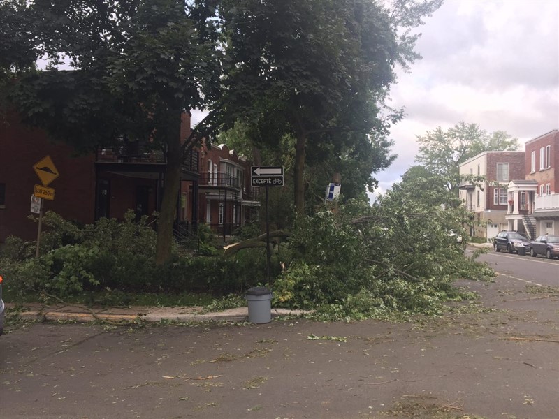 attachment.php?attachmentid=580578&stc=1&d=1503499282