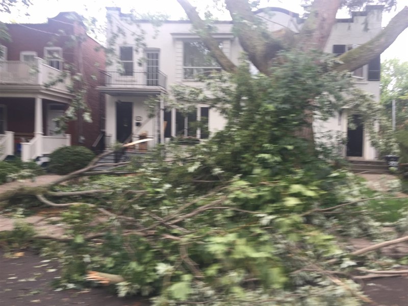 attachment.php?attachmentid=580581&stc=1&d=1503499292