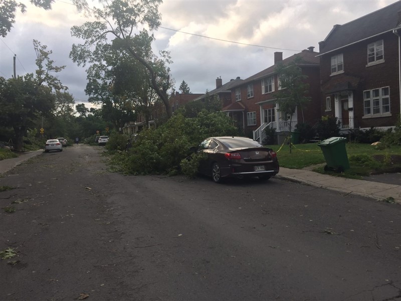 attachment.php?attachmentid=580582&stc=1&d=1503499295