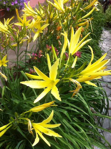 attachment.php?attachmentid=581376&d=1504027614